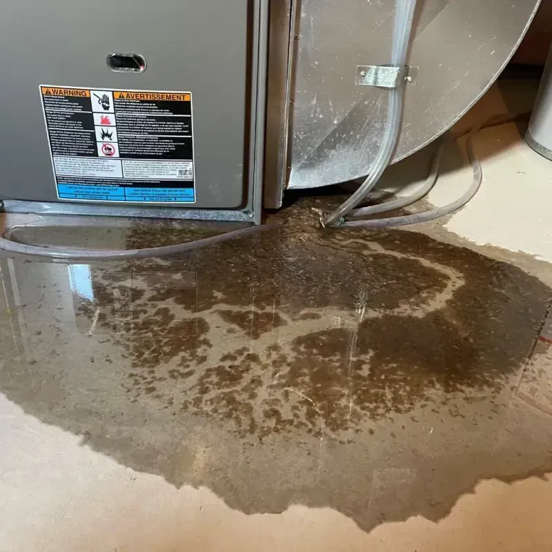 Appliance Leak Cleanup in Booneville, AR